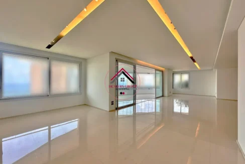 apartment sale clemenceau