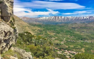 Mount-of-Lebanon-Dealers-group-real-estate
