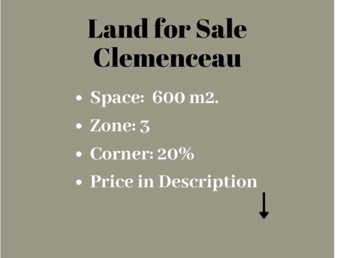 Good Investment! Land For Sale In Clemenceau